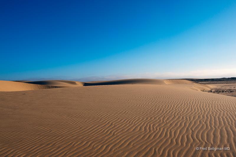 20090603_160635 D3 X1.jpg - Here we are focusing on the dunes and the vast areas of sand.